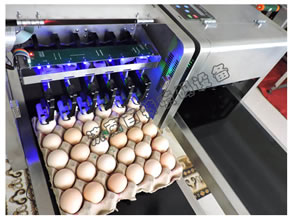 山東噴碼機(jī)公司簡介